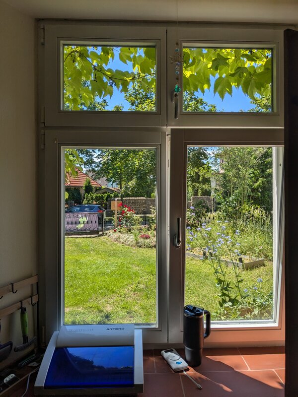 Blick aus dem Fenster mit Desinfektionsgerät