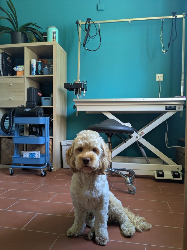 Maskottchen zu Besuch